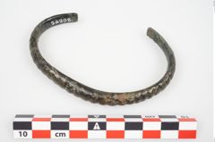 Foto von Bronzearmreif (NHMW-PRAE-026208)